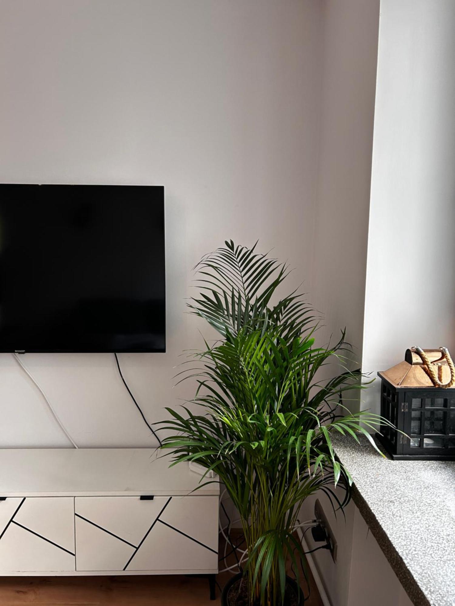 Kotlarska Przy Rynku Apartmán Vratislav